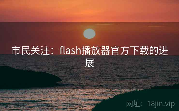 市民关注：flash播放器官方下载的进展